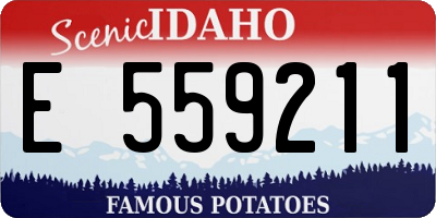 ID license plate E559211