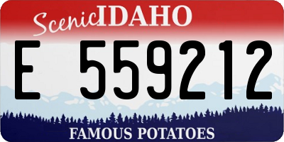 ID license plate E559212