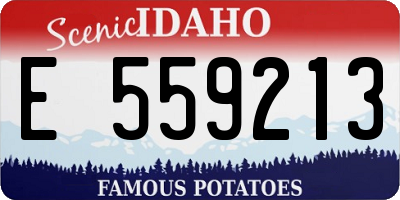 ID license plate E559213