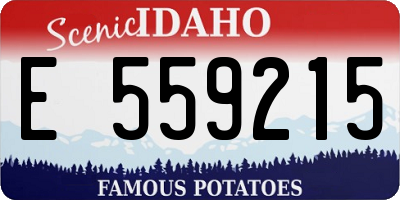 ID license plate E559215