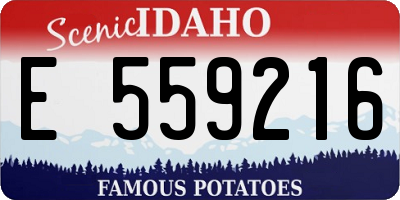 ID license plate E559216