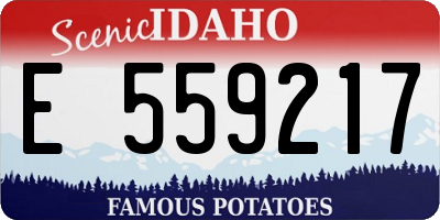 ID license plate E559217