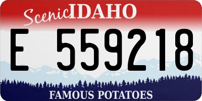 ID license plate E559218