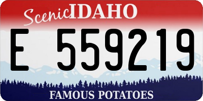 ID license plate E559219