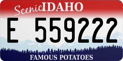 ID license plate E559222