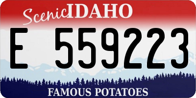 ID license plate E559223