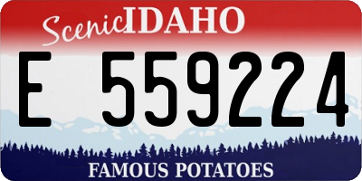 ID license plate E559224