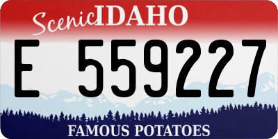 ID license plate E559227