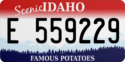 ID license plate E559229