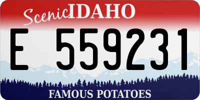ID license plate E559231