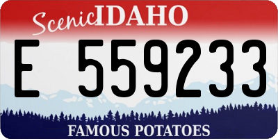 ID license plate E559233