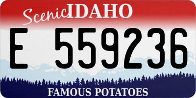 ID license plate E559236