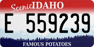 ID license plate E559239