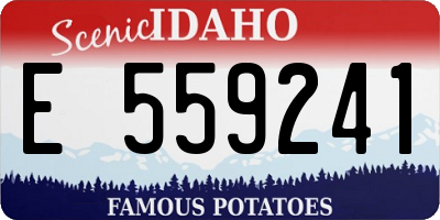 ID license plate E559241
