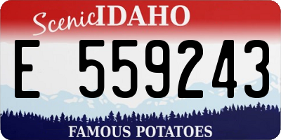 ID license plate E559243