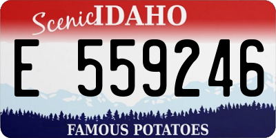 ID license plate E559246