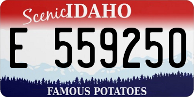 ID license plate E559250