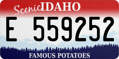 ID license plate E559252