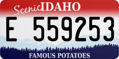 ID license plate E559253