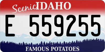 ID license plate E559255