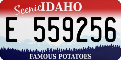 ID license plate E559256