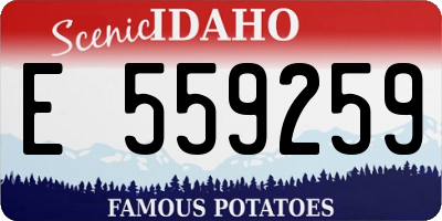 ID license plate E559259