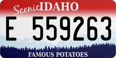 ID license plate E559263