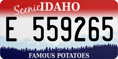 ID license plate E559265