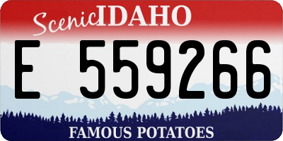 ID license plate E559266