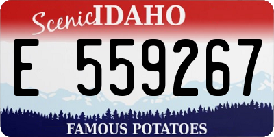 ID license plate E559267