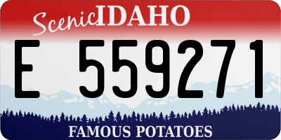 ID license plate E559271