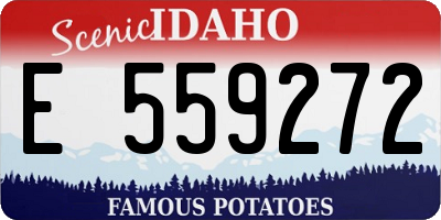 ID license plate E559272
