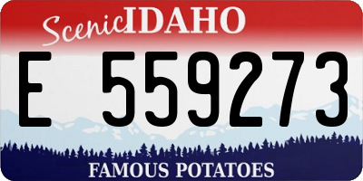 ID license plate E559273