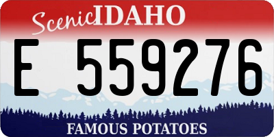 ID license plate E559276