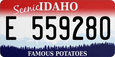 ID license plate E559280