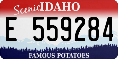ID license plate E559284