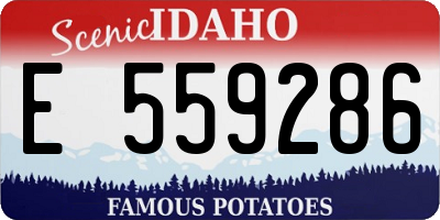 ID license plate E559286