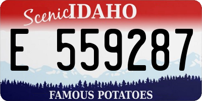 ID license plate E559287