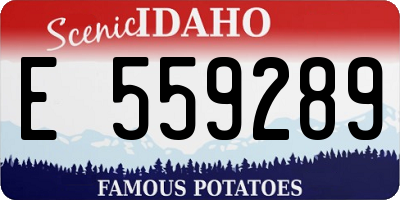 ID license plate E559289