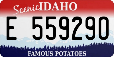 ID license plate E559290