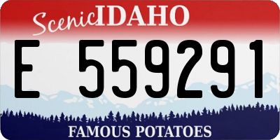 ID license plate E559291