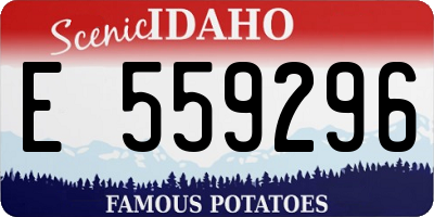 ID license plate E559296