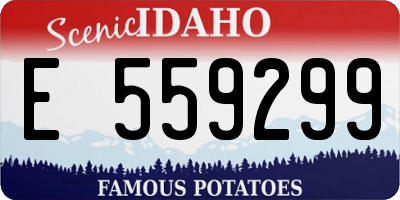 ID license plate E559299