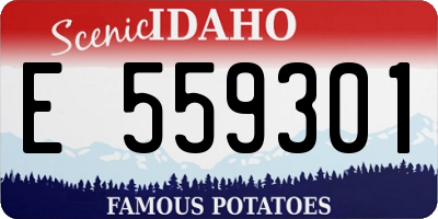 ID license plate E559301