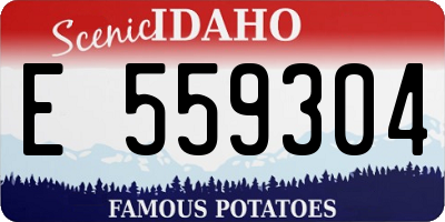 ID license plate E559304