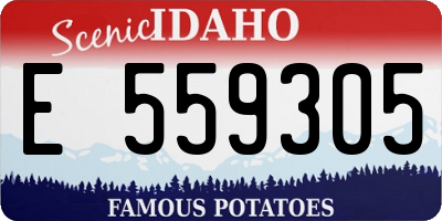 ID license plate E559305
