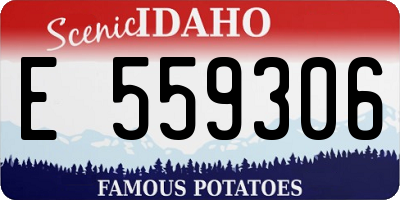 ID license plate E559306