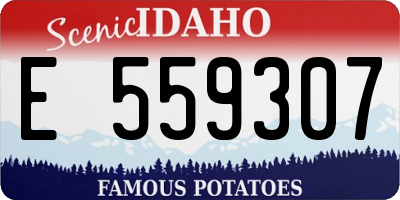 ID license plate E559307