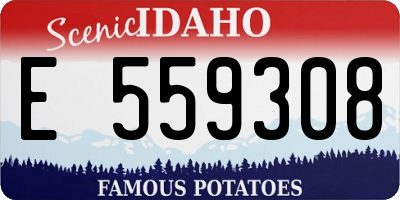 ID license plate E559308
