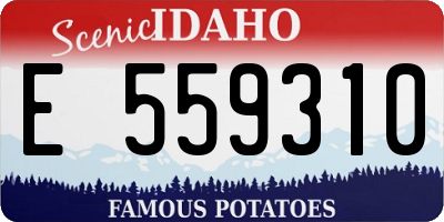 ID license plate E559310